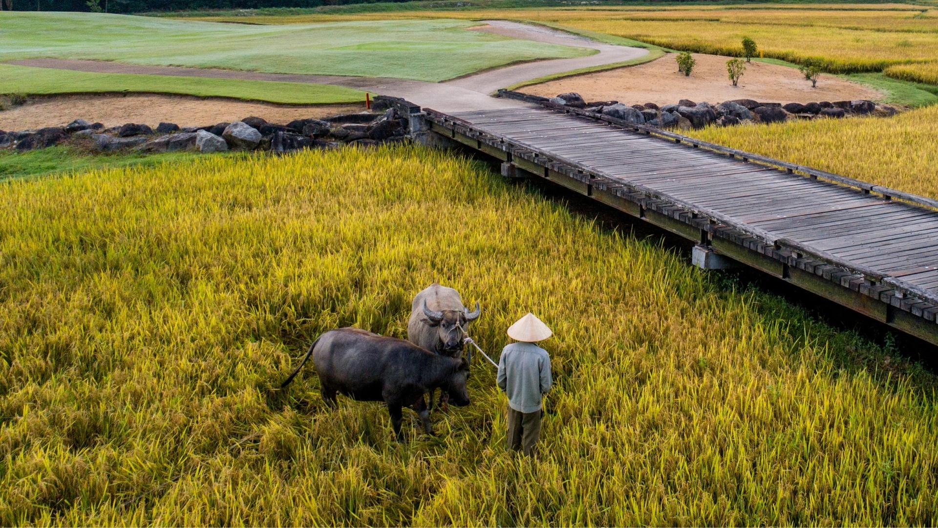 Sustainability at Angsana