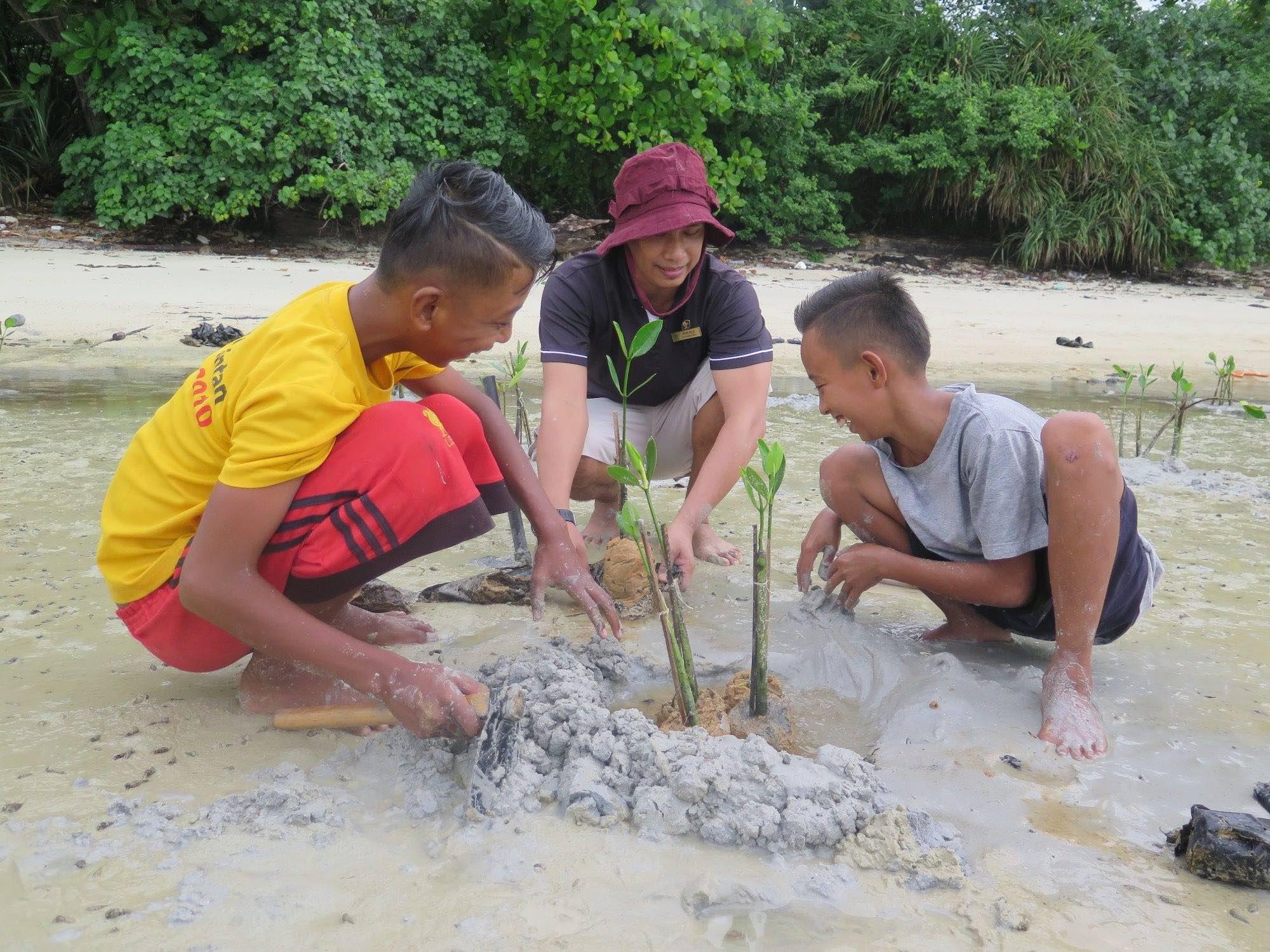 mangroveplanting1.jpg