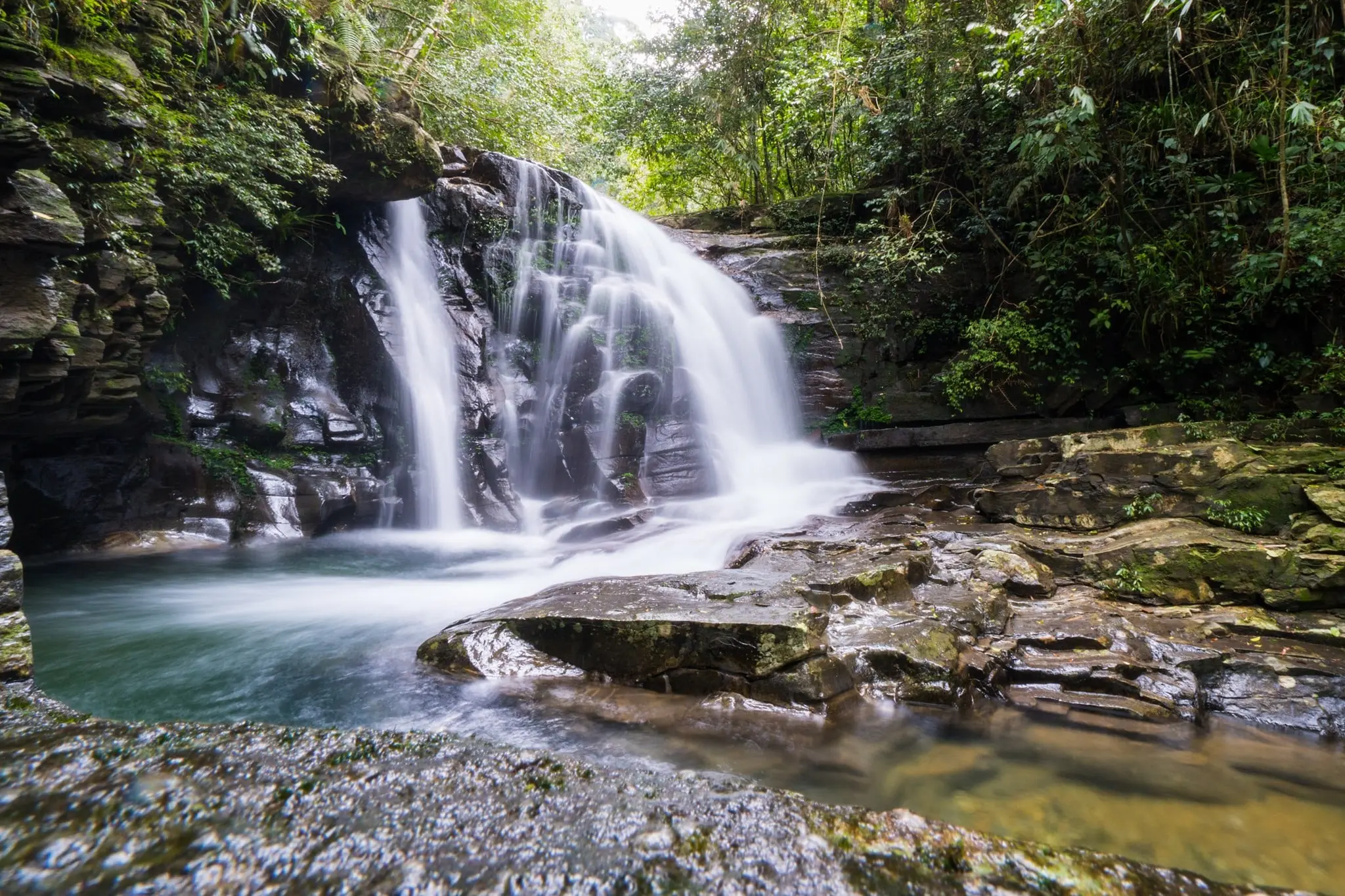 Go on Safari at Bach Ma National Park